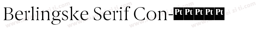 Berlingske Serif Con字体转换